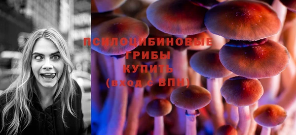 амф Михайловск