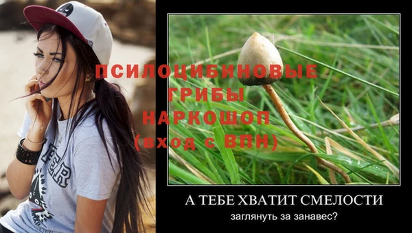 амф Михайловск
