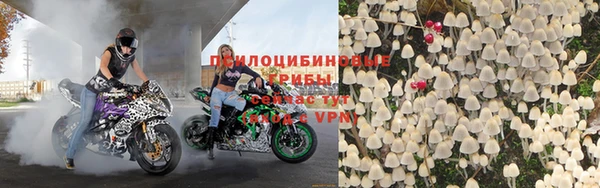 дживик Михайлов